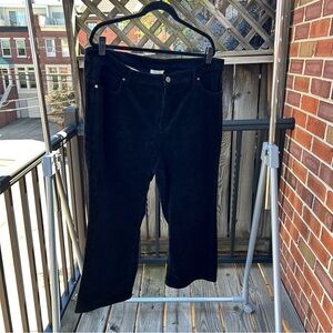 Style & Co Black Corduroy Plus Short Pants 20W